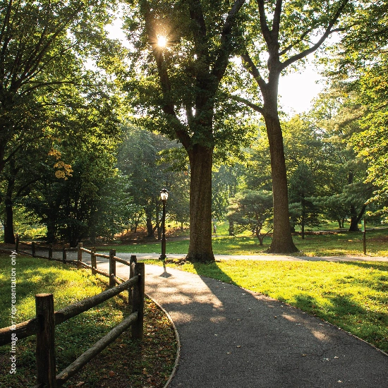 project_overview_img